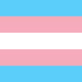 Trans Friends